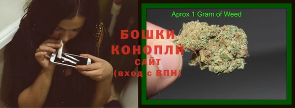 винт Бронницы