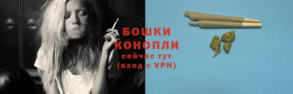 Альфа ПВП Бородино