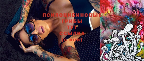 винт Бронницы