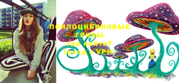 винт Бронницы