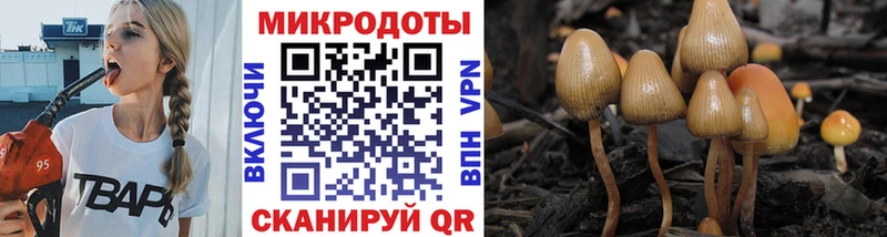 Галлюциногенные грибы Cubensis даркнет телеграм Бугульма