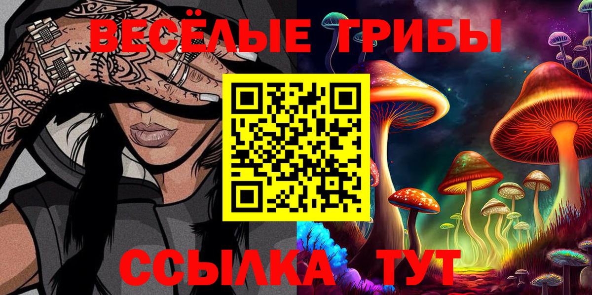 Псилоцибиновые грибы Cubensis Бугульма
