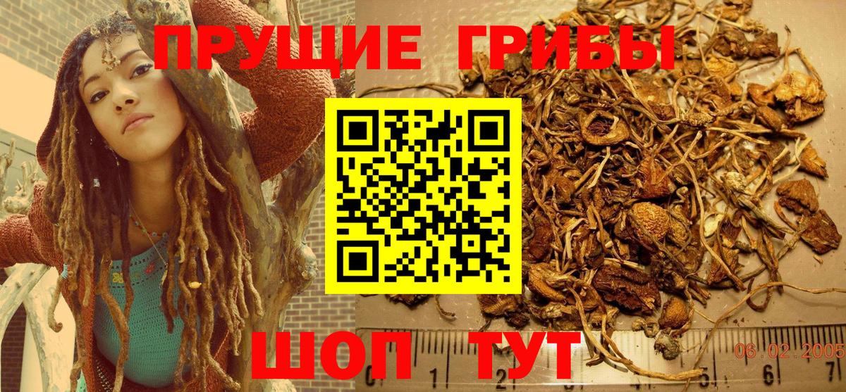 Галлюциногенные грибы Cubensis  Вход с VPN  купить закладку  Бугульма 